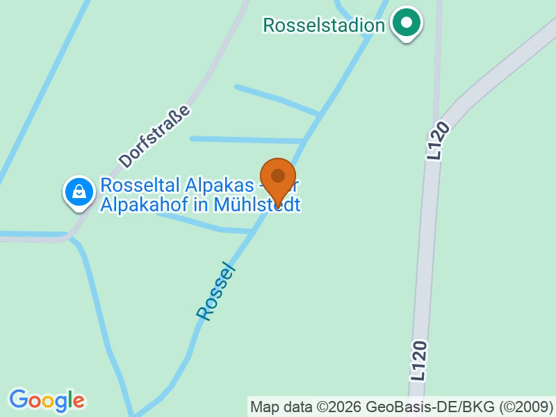 Posizione 06862 Coswig Anhalt, Germania sulla mappa
