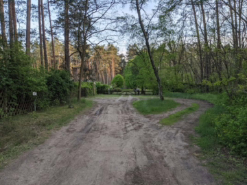 Waldgrundstück, noch kein Baugebiet!!!, 14822 Borkwalde, Grundstück